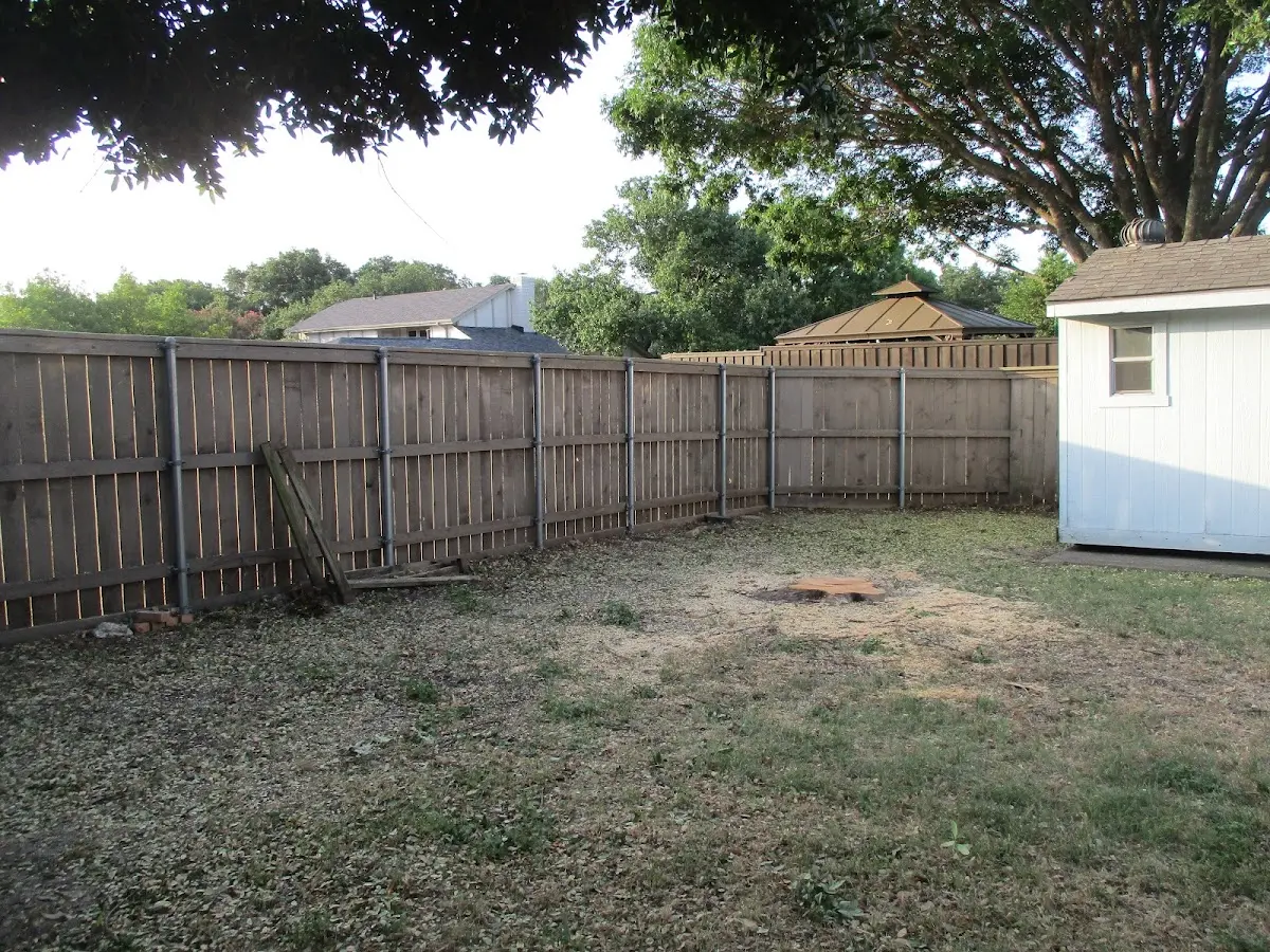 Cleared yard after professional tree removal in Minetto