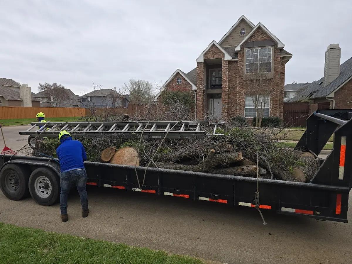 Expert Tree Fertilization with proper safety equipment in Minetto
